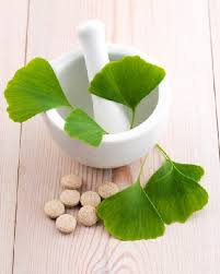 Ginkgo Biloba